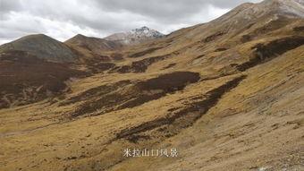 途观自驾游西藏最新爆料,途观自驾游最新爆料，一路风光无限